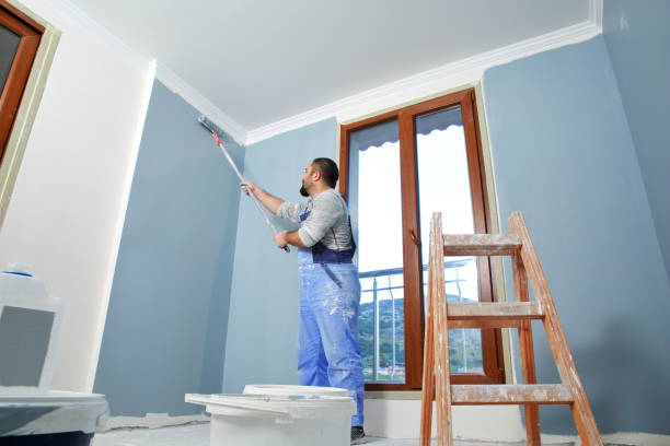 Best Ceiling Painting Services  in Colstrip, MT